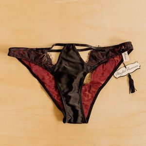 Bailey Red Net & Black Embroidery Lace Brief